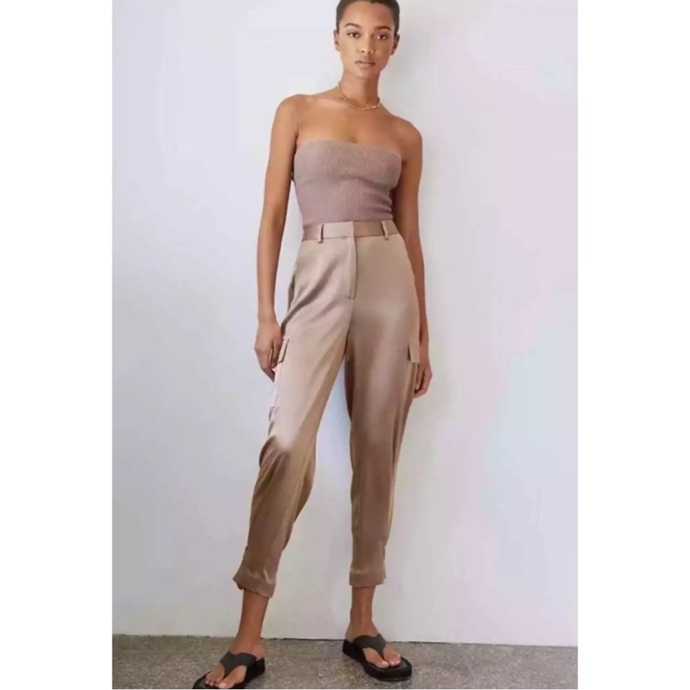 BABATON | Aritzia Refined Satin Cargo Pant in Deep Taupe, Size 4